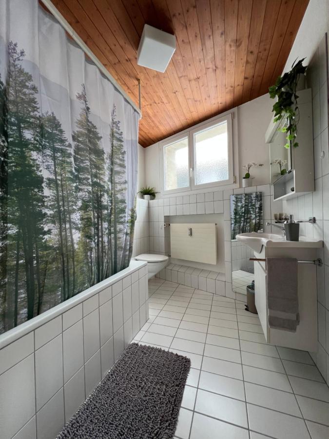 Ferienwohnung Dorfzentrum Дизентис Экстерьер фото